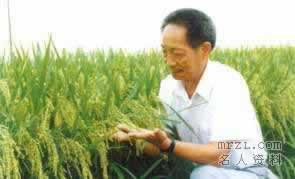 袁隆平：世界杂交水稻之父